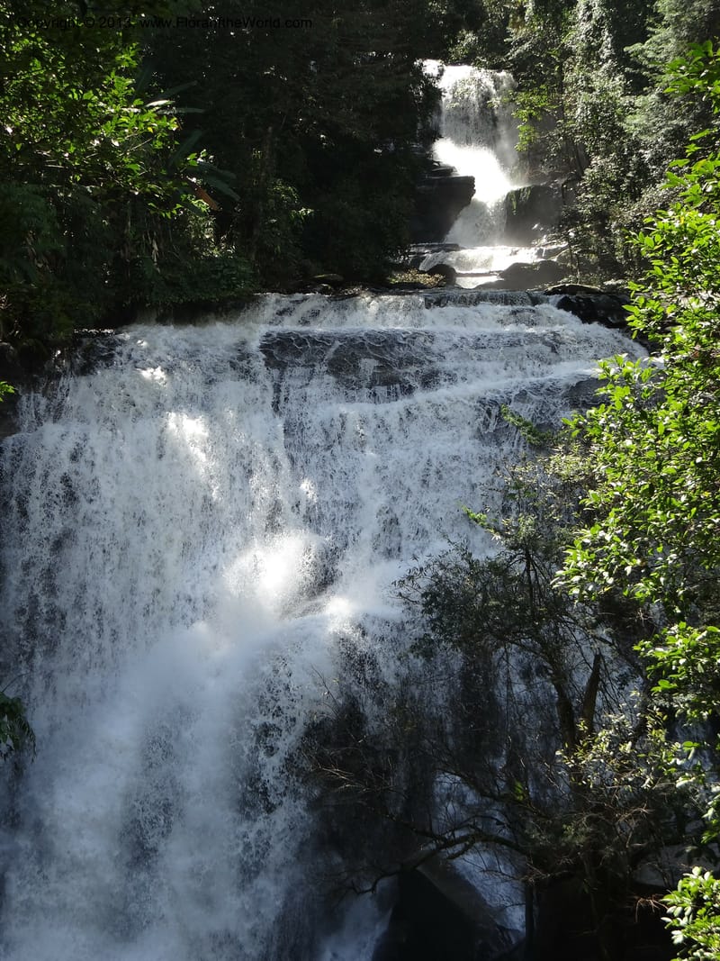 Thailand. Chiang Mai Prov. Doi Inthanon Nat. Park. 9 Nov 2012. DSC08345 (33).JPG