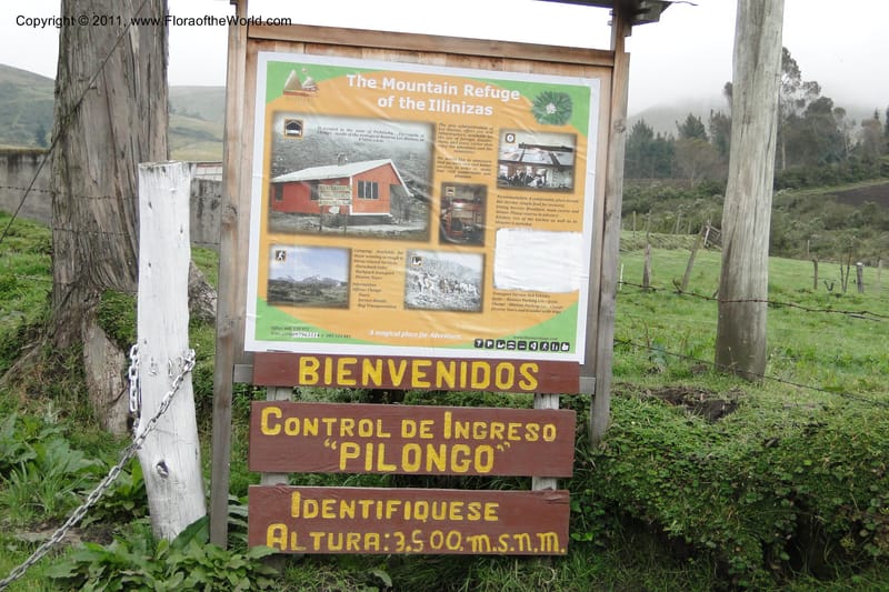 Ecuador. Pichincha. Res. Ecol. Ilinizas. 4 June 2011. 001.jpg