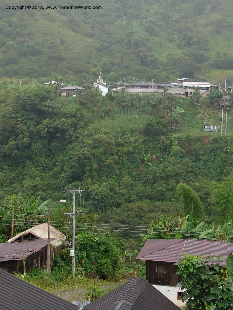 Ecuador. Prov. Carchi.  El Chical. 16 Feb 05. 172.jpg