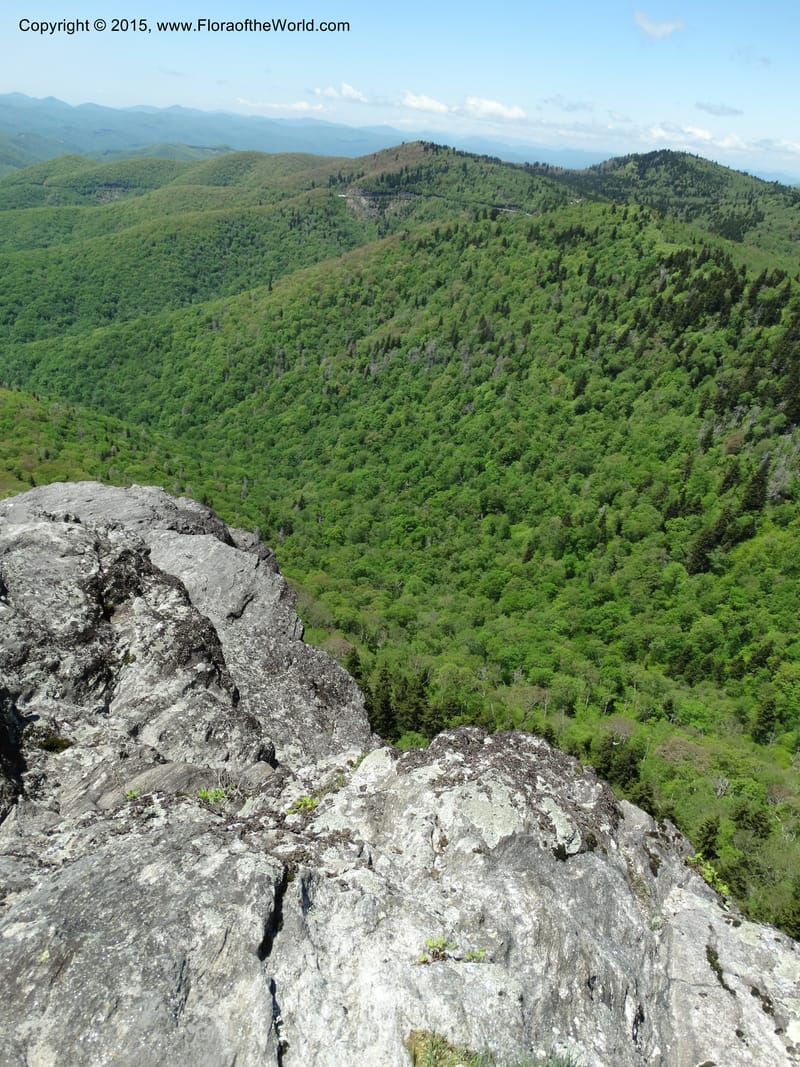 North Carolina. Trans. Co. Devils Courthhouse. 21 May 2015. DSC07059 (7).JPG