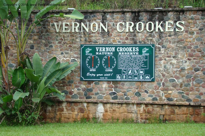 South Africa. KwaZulu-Natal. Vernon Crookes Nat. Res. 25 Jan 09. 001.jpg