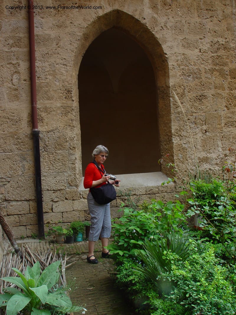 Courtyard garden, the lower monastery at Subiaco--Italy. Abr.jpg