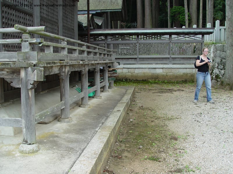 Japan. Temple in Ibuki-cho.  CD18 Jul 03. 012.jpg