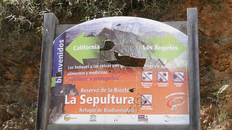 MX. Chiapas. Tres Picos. 19 Sept 2010. 001.jpg