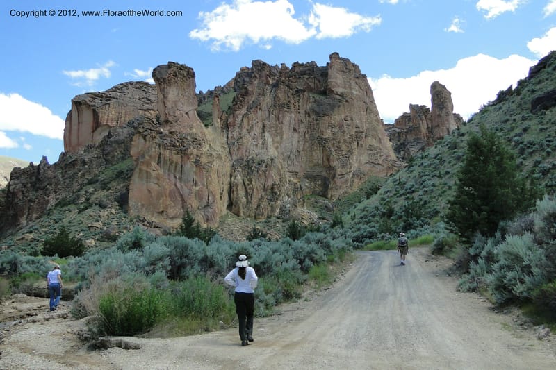Oregon. Malheur Co. Leslie Gulch. 30 June 2011. 218.jpg