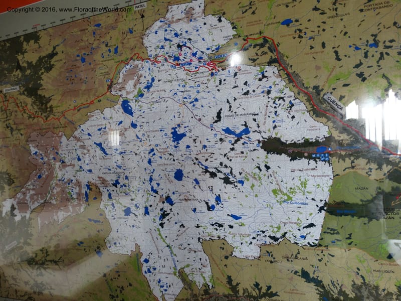 Ecuador. P. N. Cajas. 26 Apr 2015. DSC03197 (3).JPG