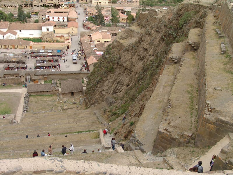 Peru. Ollantaytambo. 22 Oct 07. 004.jpg