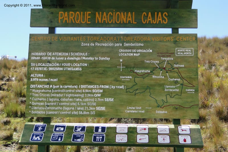Ecuador. Azuay. P. N. Cajas. 8 Jun 2011. 014.jpg