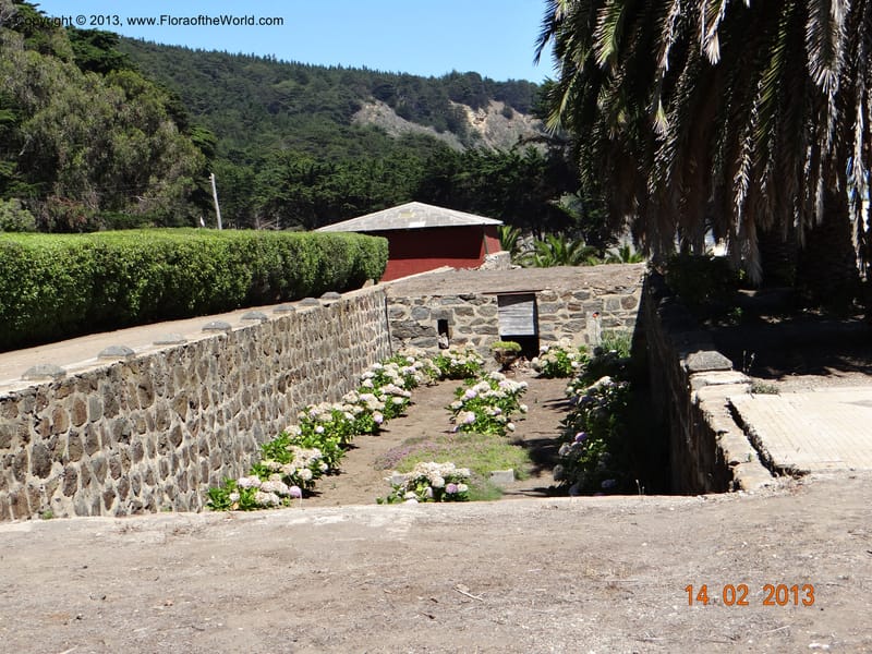 Habitat--Chile, Fundo Tanume, 14 Feb 2013  7870 (9).JPG