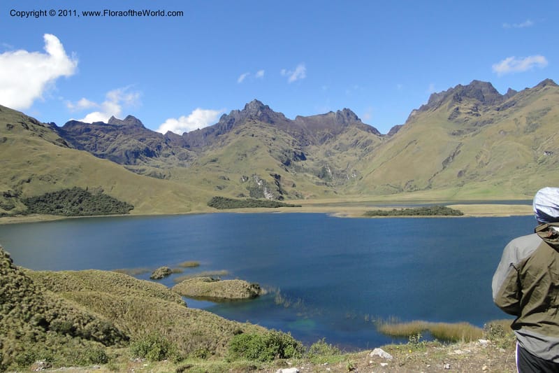 Laguna Atillo--Ecuador. P. N. Sangay. 6 June 2011. 008.jpg