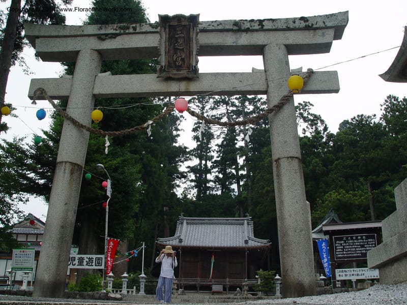 Japan. Temple in Ibuki-cho.  CD18 Jul 03. 004.jpg