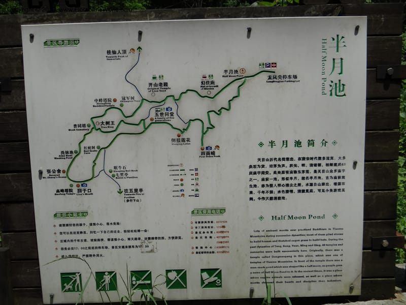 China. Zhejiang Prov. Tian Mu Shan. 29 May 2012. DSC00348 (253).JPG