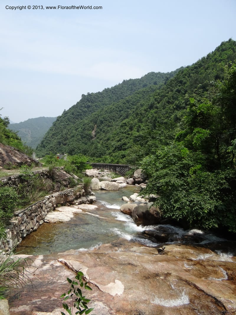 China. Zhejiang Prov. Shunxi Village. 28 May 2012. DSC00347 (72).JPG