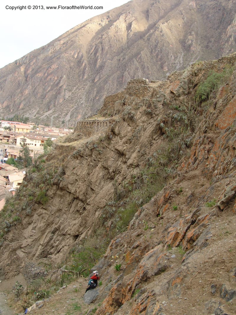Peru. Ollantaytambo. 22 Oct 07. 003.jpg