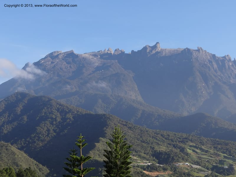 Mt. Kinabalu from Kg. Kundassong. 6 April 2012. DSC07181 (2).JPG