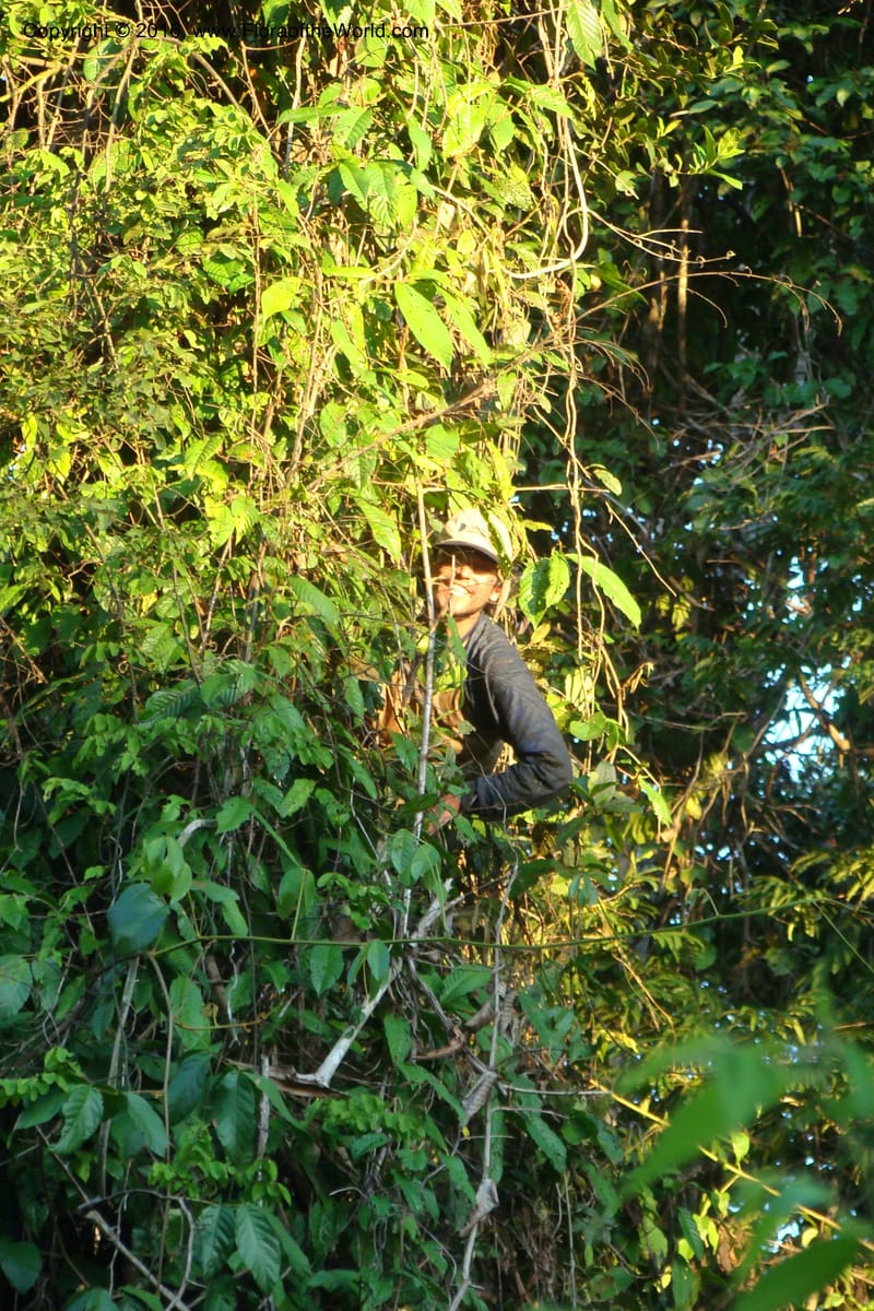 Peru. Loreto. Dist. Nauta. Miraflores, Rio Tigre. 8 Nov 08. 390.jpg