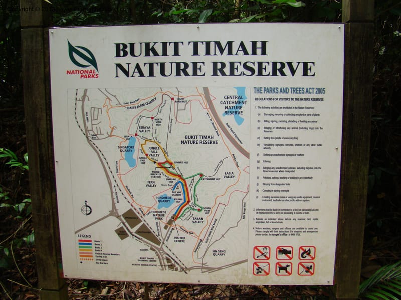 Singapore. Bukit Timah Reserve. 8 Mch 08. 045.jpg
