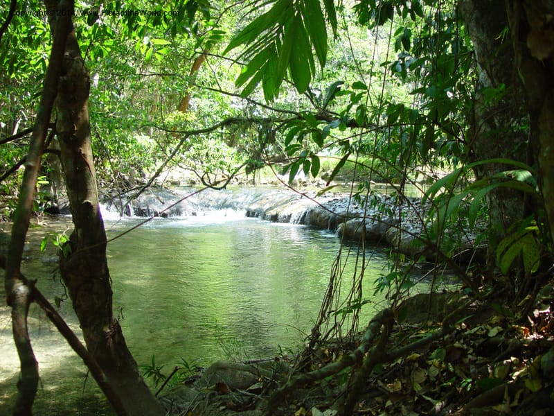 MX. Chiapas. Mpo. Ocozocoautla. 16 Mch 03. 038.jpg