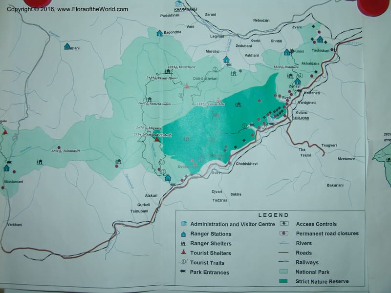 Georgia. Borjomi-Kharagauli Nat. Pk. 8  Jun 05. 001.jpg