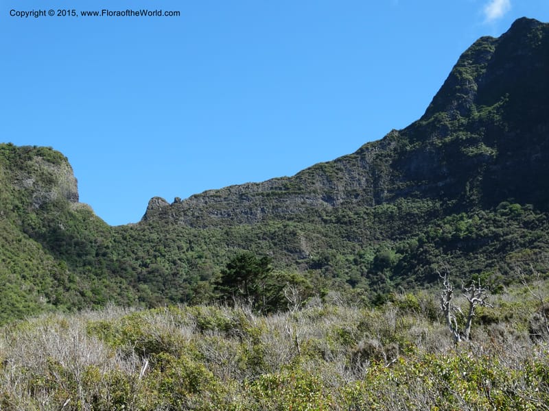 Chile. Juan Fernandez. Plazoleta el Yunque. 22 Feb 2015. DSC09083 (26).JPG