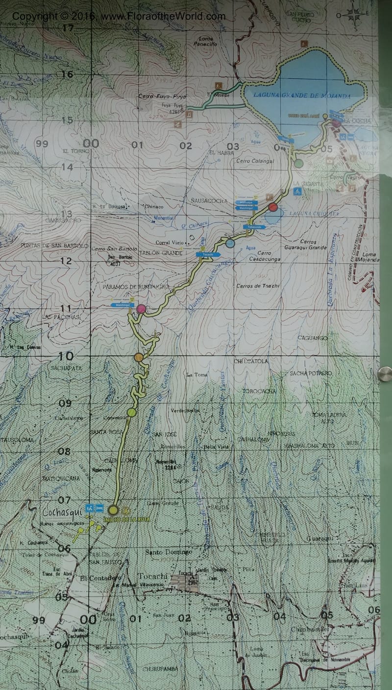 Ecuador. Mojanda. 22 Apr 2015. DSC02267 (108).JPG