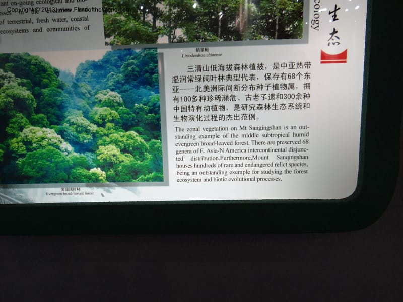 China. Anhui Prov. San Qing Shan. 3 Jun 2012. DSC01600 (9).JPG