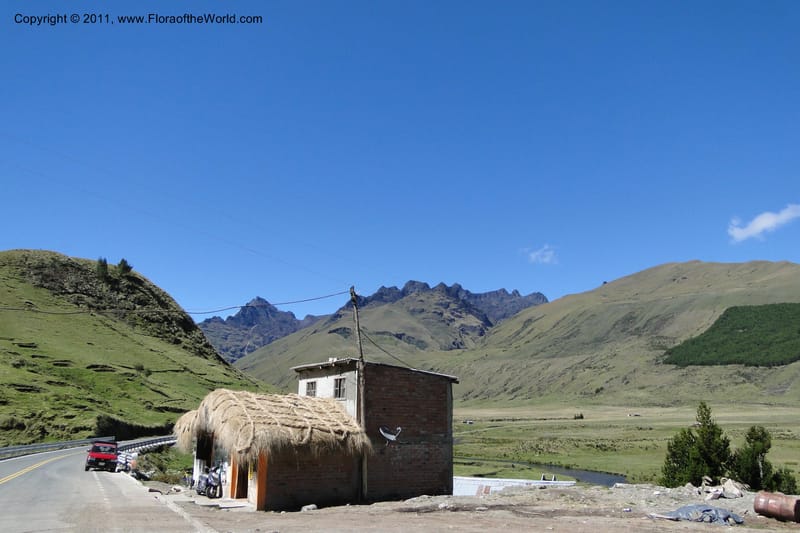 Ecuador. P. N. Sangay. 6 June 2011. 001.jpg