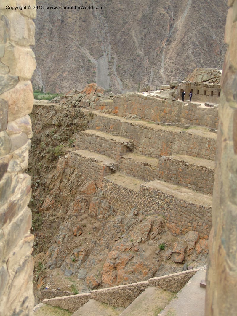 Peru. Ollantaytambo. 22 Oct 07. 012.jpg