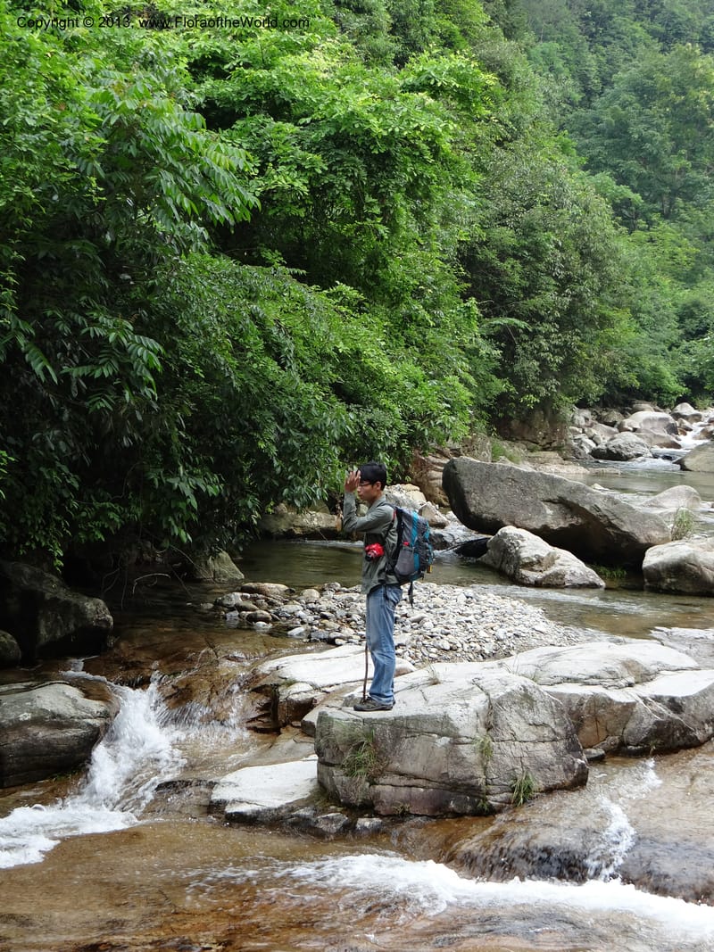 China. Zhejiang Prov. Tian Mu Shan. 29 May 2012. DSC00348 (39).JPG