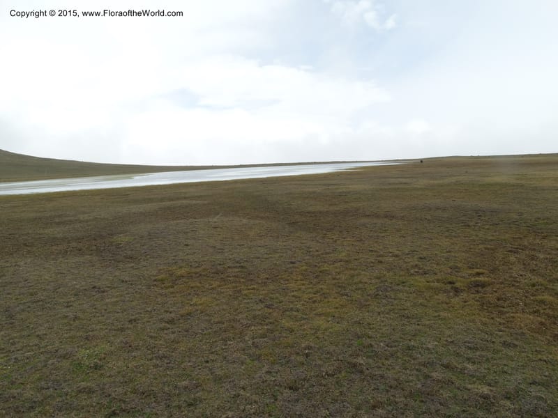 Ecuador. Antesana. Lga. Sta. Lucia. 24 Apr 2015. DSC02778 (46).JPG