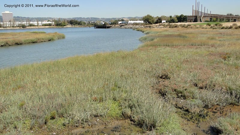 CA. Alameda Co.  East Bay. 2 Sept 2010. 339.jpg