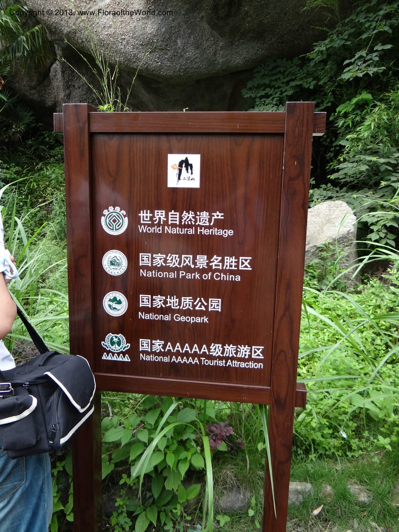 China. Anhui Prov. San Qing Shan. 3 Jun 2012. DSC01600 (4).JPG