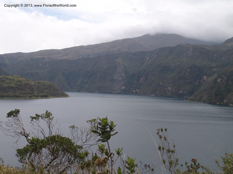Ecuador. Prov. Imbabura.Laguna Cuicocha. 13 Sep 07. 070.jpg