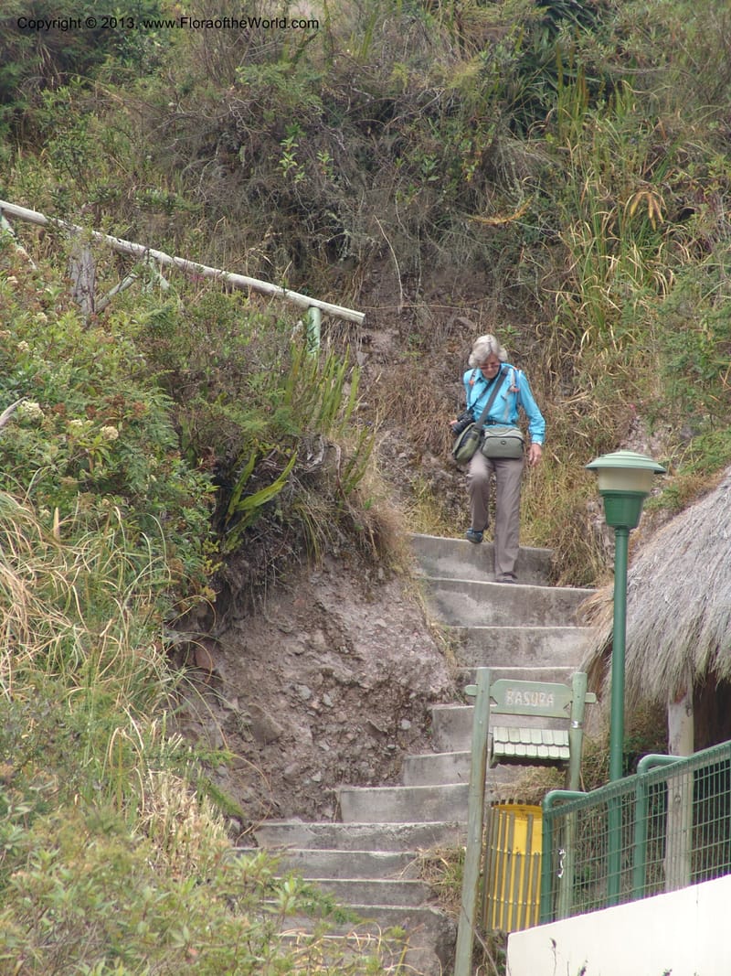 Ecuador. Prov. Imbabura.Laguna Cuicocha. 13 Sep 07. 113.jpg