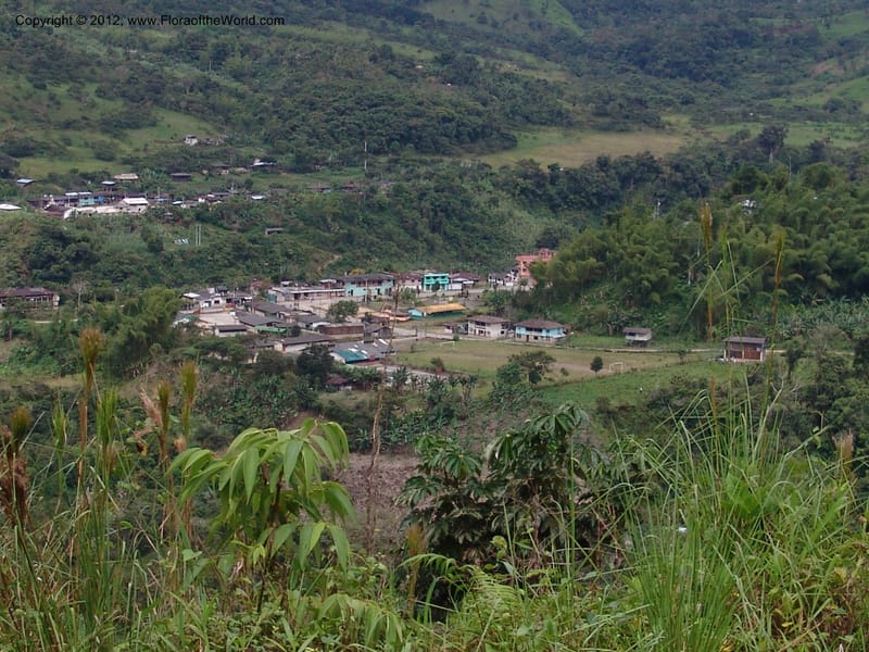 Ecuador. Prov. Carchi. El Chical. 17 Feb 05. 219.jpg