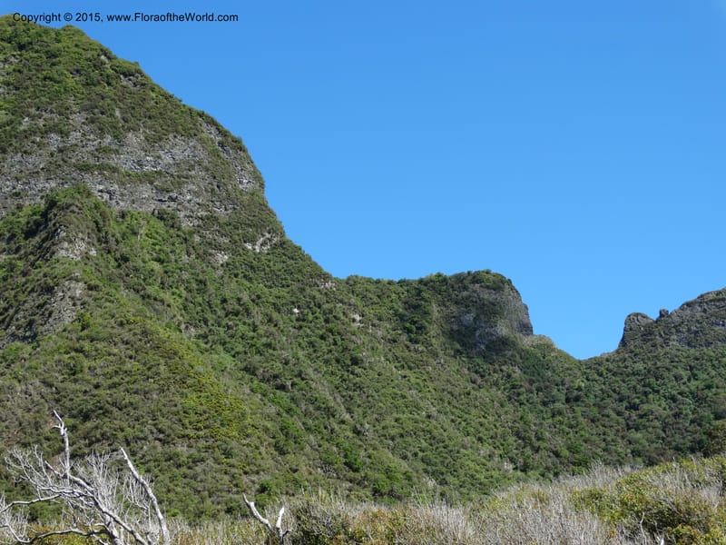 Chile. Juan Fernandez. Plazoleta el Yunque. 22 Feb 2015. DSC09083 (23).JPG