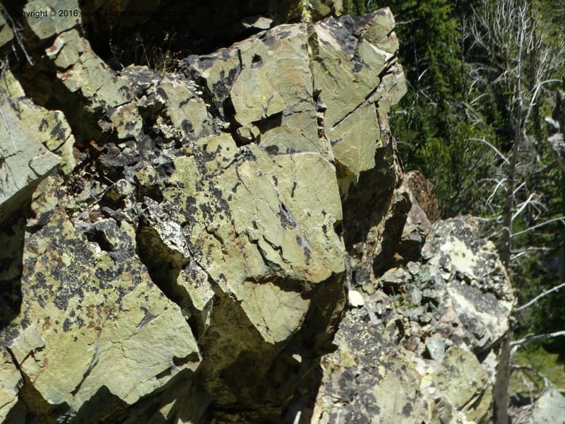 ID. Idaho Co. Seven Devils Mtns. 20 Jul 2015. DSC07745 (100).JPG