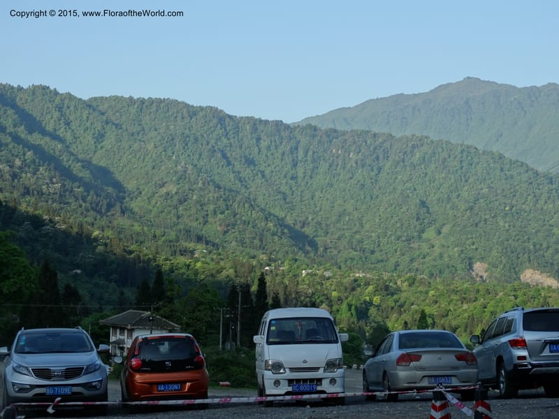 China. Sichuan. Emei Shan. 16 May 2014. DSC06936 (127).JPG