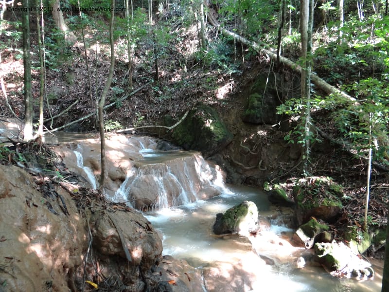 Thailand. Trang Prov. Khao Pra Bang Kram Wildl. Sanctuary. 16 Nov 2012. DSC0 (63).JPG