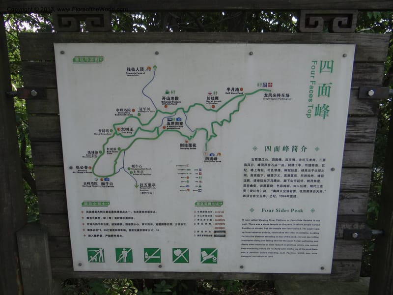 China. Zhejiang Prov. Tian Mu Shan. 29 May 2012. DSC00348 (142).JPG