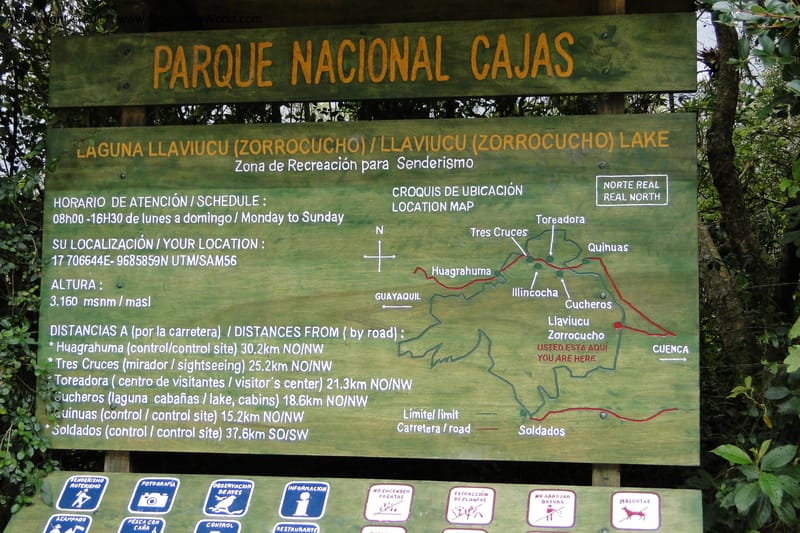 Ecuador. Cajas. P. N. Surocucho. 9 Jun 2011. 002.jpg
