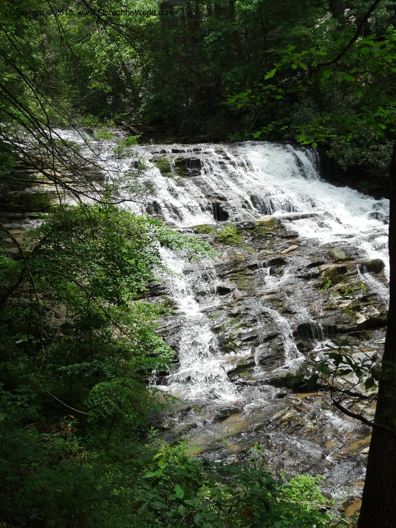 South Carolina. Oconee Co. Brasstown Cr. 19 May 2015. DSC06413 (182).JPG
