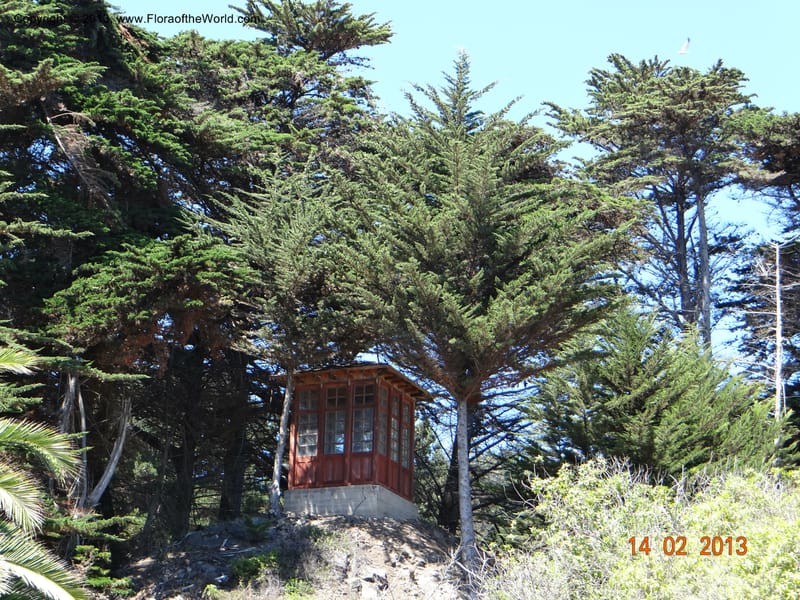 Habitat--Chile, Fundo Tanume, 14 Feb 2013  7880.JPG