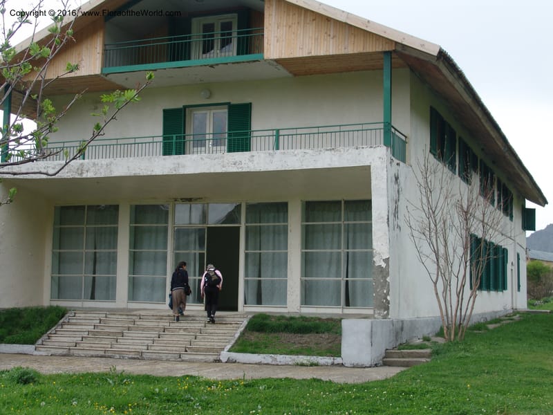 Georgia. Kazbeki. Ecol. Sta. Georg. Acad. Sci. 1 Jun 05. 004.jpg