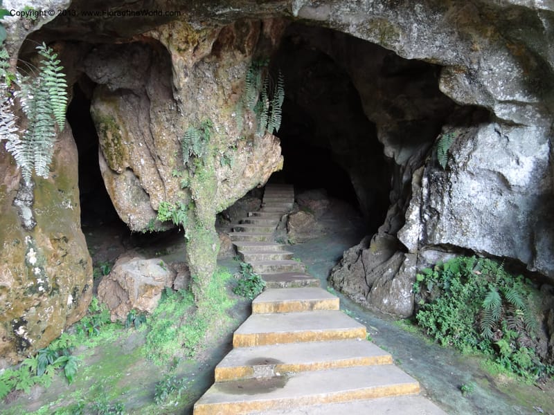 Fairy Cave, Gunong Fairy. Sarawak. 27 Mar 2012. DSC05625 (2).JPG