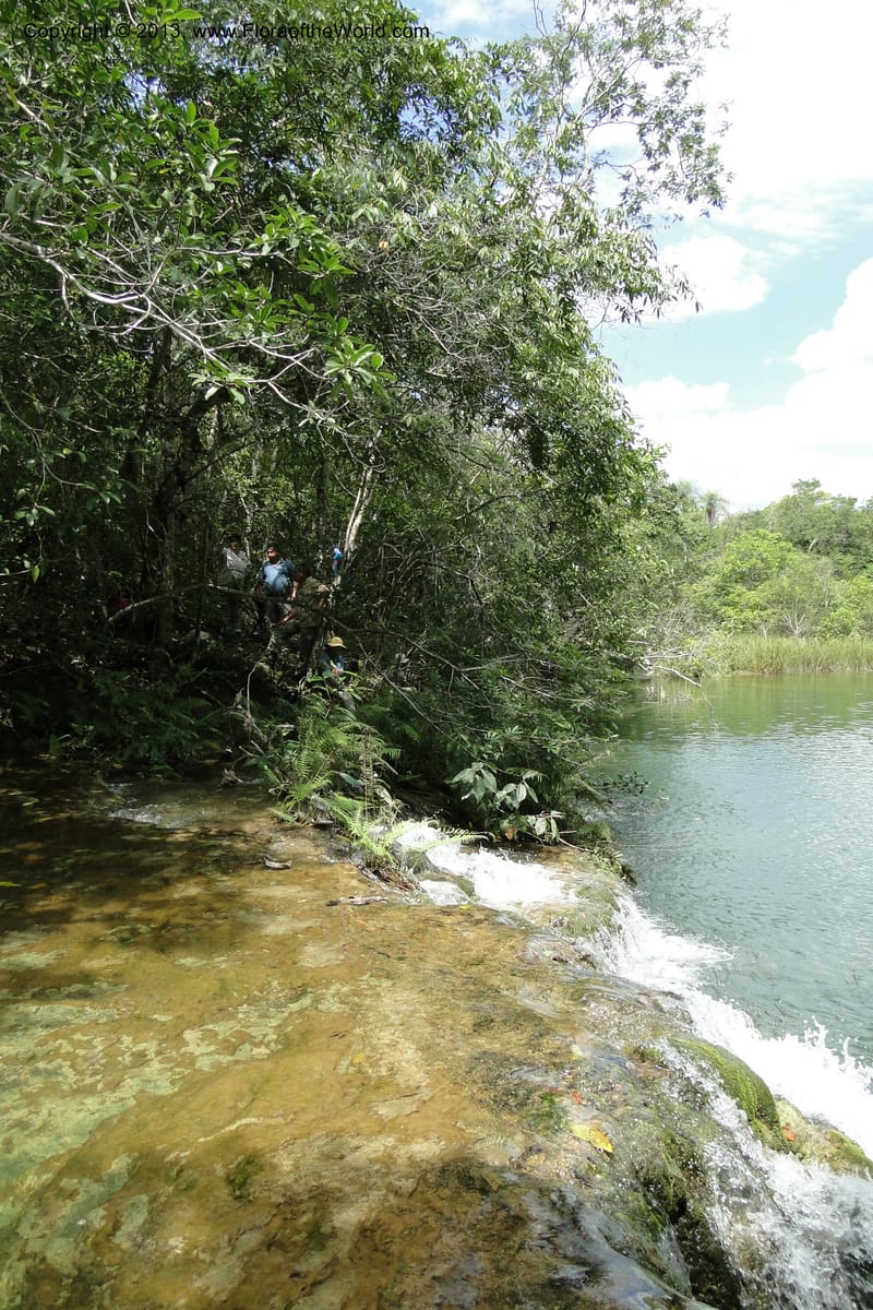 Paraguay. Edo. Concepcion. Garay Cue. 21 Mar 2011. 256.jpg