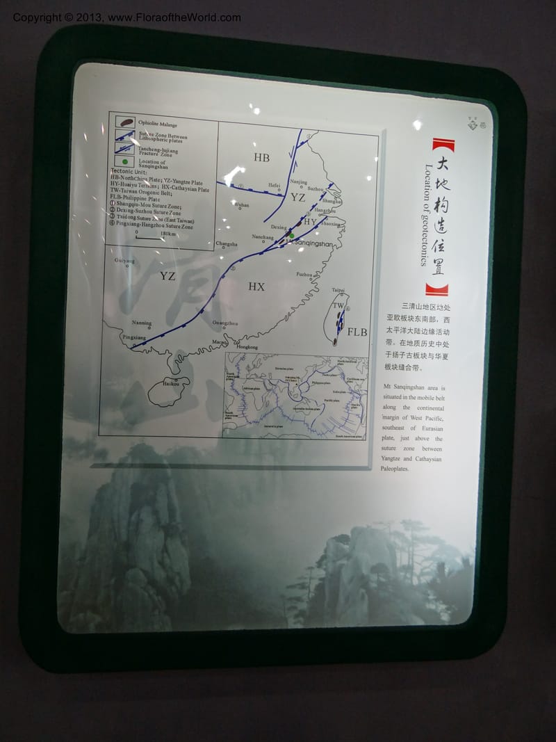 China. Anhui Prov. San Qing Shan. 3 Jun 2012. DSC01600 (10).JPG