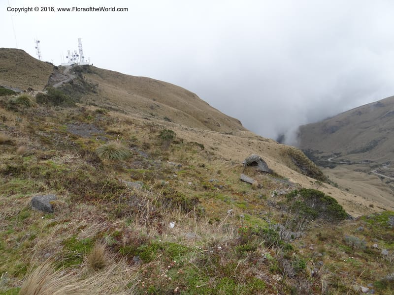 Views of Cotacachi Cayapas and Laguna Cuicocha. 4 Oct 2012. DSC06697 (5).JPG