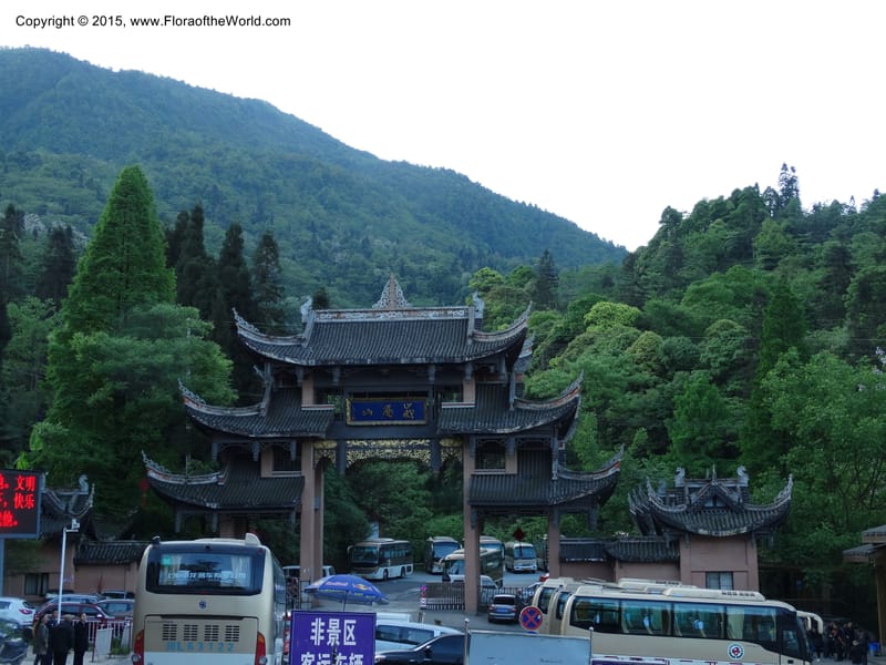 China. Sichuan. Emei Shan. 16 May 2014. DSC06936 (128).JPG