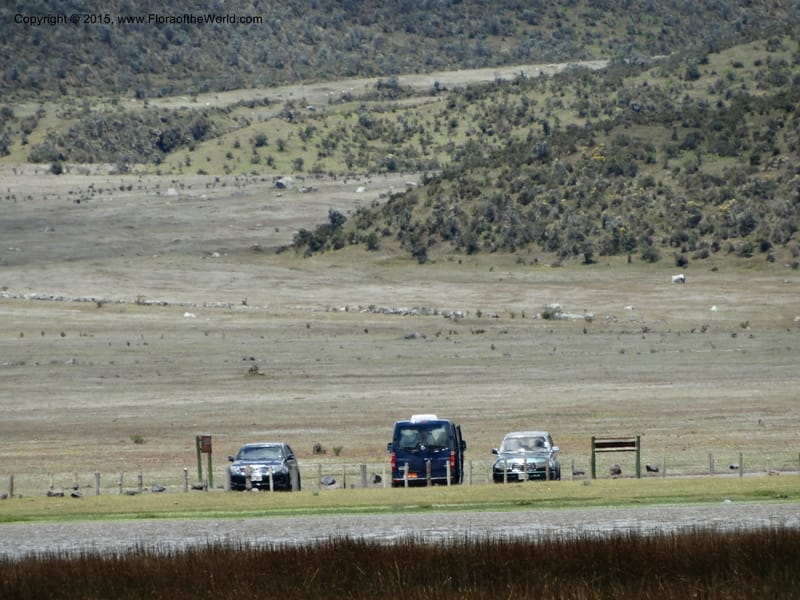 Ecuador. Cotopaxi. 23 Apr 2015. DSC02466 (219).JPG
